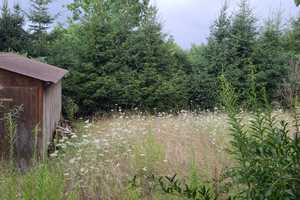 Schönes Einfamilienhaus mit Garten und Garage - Bieterverfahren – Friedrichstr. 19, 86424 Augsburg (Kreis) – Vorschaubild 10