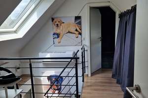 helle 4 - Raum Wohnung im Dachgeschoss mit Balkon in Oberhausen-Stadtmitte – Die vollständige Adresse der Immobilie erhältst du vom Anbieter., 46045 Altstadt-Süd, Oberhausen – Vorschaubild 12