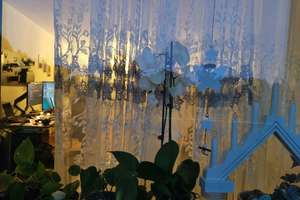 Striesen-Süd: 2-Zimmer-Wohnung mit Balkon und Einbauküche – Die vollständige Adresse der Immobilie erhältst du vom Anbieter., 1309 Striesen-Süd, Dresden – Vorschaubild 26