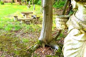 Exklusive historische Villa mit Schwimmbad in bester Lage von Ehmen – Wolfsburg – Vorschaubild 5