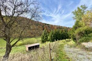 Charmant renovierter Pferdehof mit viel Platz für Familie, Freunde und Tiere... – Die vollständige Adresse der Immobilie erhältst du vom Anbieter., 72160 Horb am Neckar – Vorschaubild 39