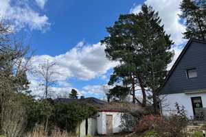 Gepflegtes Einfamilien Haus mit fantastischem Garten und großen Grundstück (von privat) – Berlin – Vorschaubild 112