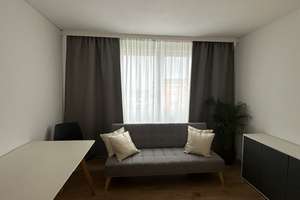 Freie Lieferung – Helles City-Apartment in Billstedt, perfekt für Singles* – Steinfeldstraße 8a, 22119 Billstedt, Hamburg – Vorschaubild 3