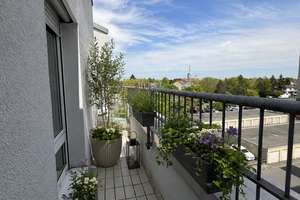 Penthouse-Feeling // Licht // Weite // Lebensqualität – 63069 Lauterborn, Offenbach am Main – Vorschaubild 9