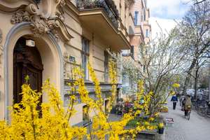 Bezugsfreie, sanierte 2-Zimmer-Altbauwohnung in gefragter Kreuzberger Lage – Freiligrathstraße 11, 10967 Kreuzberg, Berlin – Vorschaubild 38