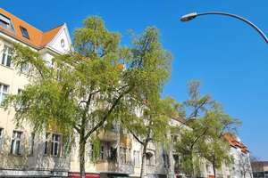 Lichtdurchflutete, vollausgestattete ETW mit 4 Schlafzimmern – Scheiblerstr. -, 12437 Baumschulenweg, Berlin – Vorschaubild 30