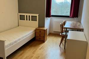 Kurze Wege, clevere Größe –  1-Zimmer-Apartment in Citynähe – Die vollständige Adresse der Immobilie erhältst du vom Anbieter., 55122 Hartenberg-Münchfeld, Mainz – Vorschaubild 2