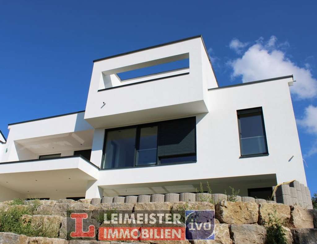 LUXUX PUR! - NEUBAU BEZUGSFERTIG! ---- Architektenvilla mit Pool in Premiumlage von Aschaffenburg Ob