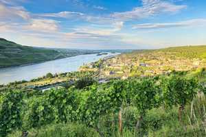 Oberste Hanglage mit Weitblick und Waldzugang: Repräsentatives freistehendes EFH – Mainz-Bingen (Kreis) – Vorschaubild 15