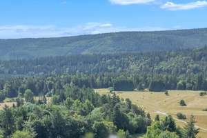 Seltene Gelegenheit: Haus mit grandioser Aussicht am Dobler Südhang – Die vollständige Adresse der Immobilie erhältst du vom Anbieter., 75335 Dobel – Vorschaubild 1