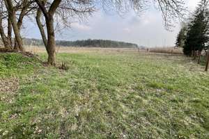 Tierliebhaber aufgepasst – Die vollständige Adresse der Immobilie erhältst du vom Anbieter., 4924 Uebigau-Wahrenbrück – Vorschaubild 12