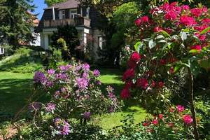 Großes Grundstück mit Schlachtensee-Villa zur eigenen Umgestaltung direkt von den Eigentümern – Die vollständige Adresse der Immobilie erhältst du vom Anbieter., 14129 Zehlendorf, Berlin – Vorschaubild 3