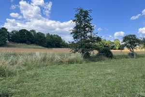 Idyllischer Pferdehof mit Potenzial – Oberdorfstraße 27, 69168 Rhein-Neckar-Kreis – Vorschaubild 30