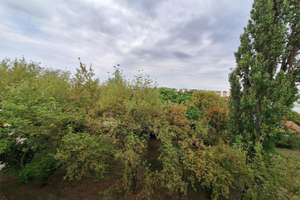 **Wohnglück auf 2 Zimmern - frisch saniert & mit Balkon** – 39128 Neustädter Feld, Magdeburg – Vorschaubild 9