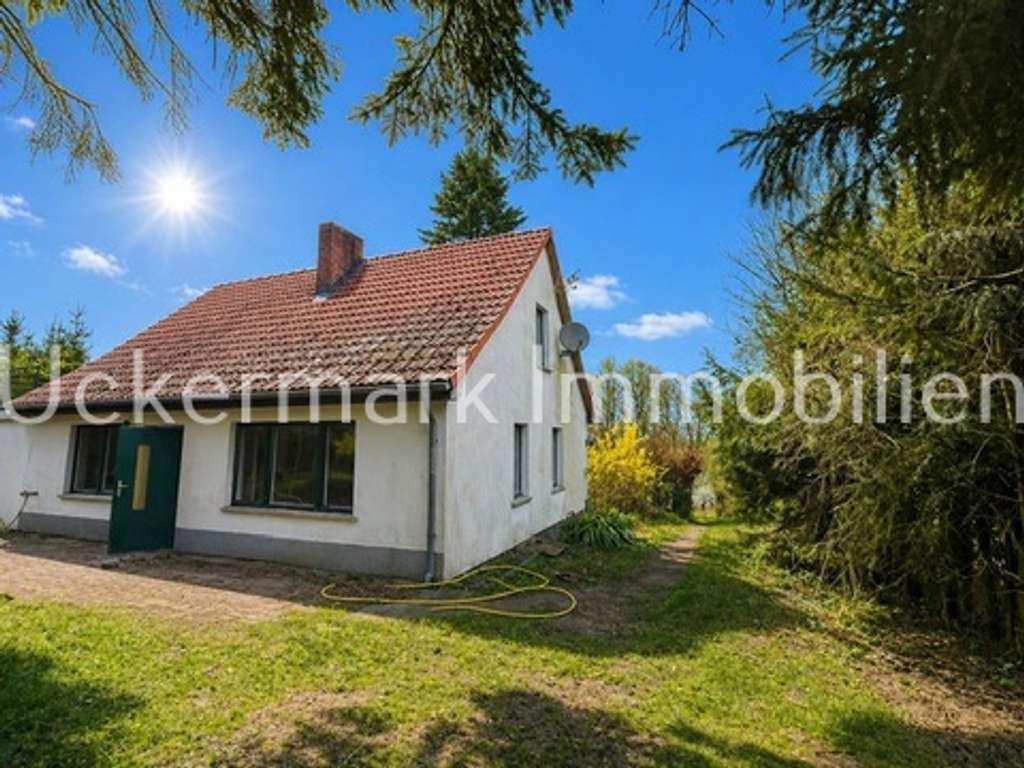 Immobilie in Blankensee - Ferien -/ Wohnhaus und ganz viel Grundstück im Neustrelitzer Kleinseenland, für kreative Köpfe und H - Bild 1
