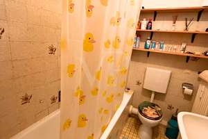 Property thumbnail 7