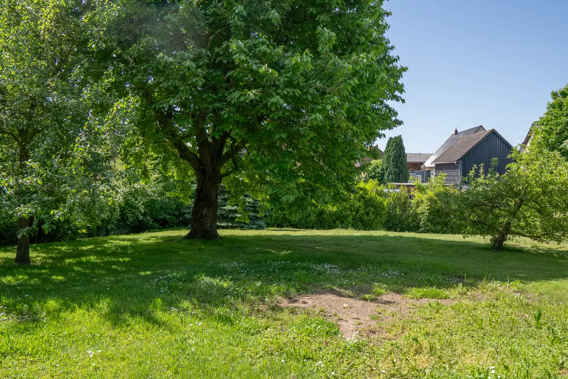 Großzügige Gartenfläche