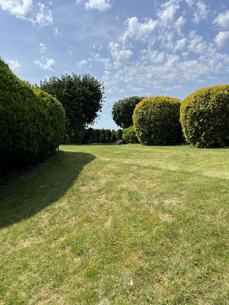 Immobilie in Damp - Ostseebad Damp:  DAS NURDACHHAUS ALS WOCHENENDHAUS mit unverbaubarem Blick und vielen Extras ! - Bild 0