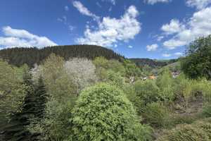 Schöne Doppelhaushälfte mit ca.125 m² Wohnfläche und toller Aussicht in die Harzer Berge – Goslar (Kreis) – Vorschaubild 7