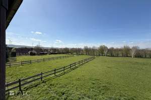 ***Mehrfamilienhaus & Exklusiver Pferdehof mit Reitanlage auf ca 21.000 m² Grundstück*** – Die vollständige Adresse der Immobilie erhältst du vom Anbieter., 37574 Einbeck – Vorschaubild 21