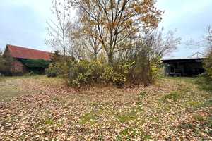 VERBORGENE SCHÖNHEIT IM GRÜNEN – Jerichower Land (Kreis) – Vorschaubild 43