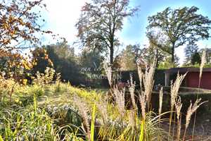 KR-Forstwald: Großzügiges EFH für Gartenliebhaber in repräsentativer Lage . mit Option auf 2. EFH – Krefeld – Vorschaubild 31