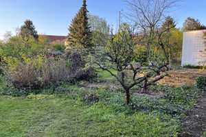 Tolle 5-Zimmer-Villa in Goslar Top Lage Georgenberg mit großem Garten und Garage – Goslar (Kreis) – Vorschaubild 10