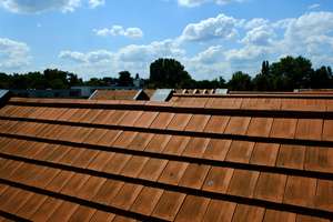 Property thumbnail 16