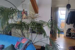 Zentral gelegene, ruhige, luftige, energieefiziente und loftartige Dachgeschosswohnung mit Galerie – Die vollständige Adresse der Immobilie erhältst du vom Anbieter., 90762 Stadtpark, Stadtgrenze, Fürth – Vorschaubild 29