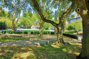 Property thumbnail 14