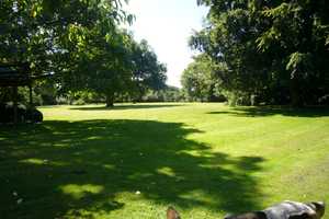  Norderstapel   Parkähnlicher Garten 5.000 qm   Obstbäume – Bahnhofstraße 11, 25879 Schleswig-Flensburg (Kreis) – Vorschaubild 2
