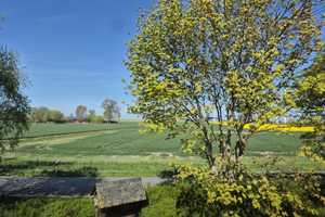 Historische Schmiede mit großem Garten und viel Potential an der Nordsee – Düker Weg 1, 26969 Wesermarsch (Kreis) – Vorschaubild 3