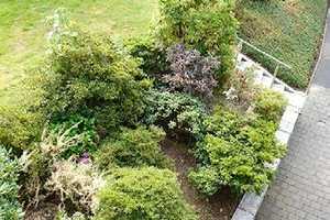 420 - Schönes Einfamilienhaus (freistehend) mit Garage und großem Garten in Lindlar – Talstr. 1X, 51789 Oberbergischer Kreis – Vorschaubild 11