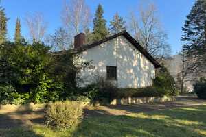 Einzigartiges Grundstück ... Einfamilienhaus mit Hallen auf einem parkähnlichem Grundstück – Miltenberg (Kreis) – Vorschaubild 3