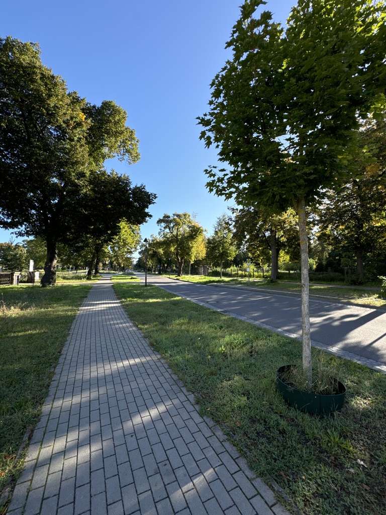 Immobilie in Hoppegarten - Wohn- und Geschäftshaus mit viel Potenzial in Hoppegarten zu verkaufen. Jetzt ansehen. - Bild 2