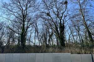 Waldquartier-Kerpen – modernes Wohnen und naturnahes Leben miteinander vereint! – Rhein-Erft-Kreis – Vorschaubild 21