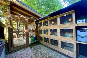 Werne-West: Einfamilienhaus mit vielfältigen Nutzungsmöglichkeiten und traumhaftem Garten – Die vollständige Adresse der Immobilie erhältst du vom Anbieter., 59368 Werne – Vorschaubild 44