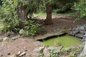 Top-Gelegenheit im grünen Lankwitz/Altbau-Wohnhaus mit idyllischem Garten – Berlin – Vorschaubild 10