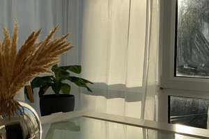 Schön geschnittene 2 Zimmer Wohnung mit großem Wintergarten und Balkon in zentraler Lage – Walkmühlstraße 25, 65195 Nordost, Wiesbaden – Vorschaubild 12