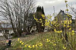 Freistehendes Haus mit Garten in guter Lage
 – Pfalzgrafenweg 28, 55765 Birkenfeld (Kreis) – Vorschaubild 21
