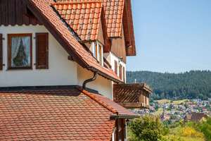 Freistehendes 3-Familienhaus in Baiersbronn – vollvermietet, mit Ausblick & Doppelgarage – Die vollständige Adresse der Immobilie erhältst du vom Anbieter., 72270 Baiersbronn – Vorschaubild 22