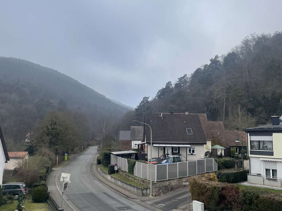 Ausblick