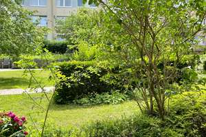 Service-Wohnanlage in Drispenstedt - seniorengerecht! – Hildebrandstr. 60, 31135 Drispenstedt, Hildesheim – Vorschaubild 8