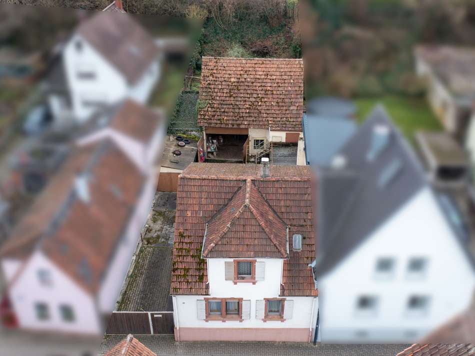 Ansicht von vorn_2_X