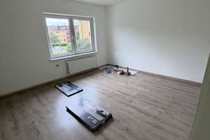 Attraktives Mehrfamilienhaus mit 3 Wohnungen, 8 Garagen, Süd-West Grundstück in Top-Lage! – Kassebohmer Weg 1, 18055 Brinckmansdorf, Rostock – Vorschaubild 8