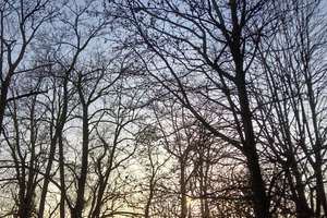 Property thumbnail 23