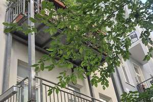 frei Bergmannkiez beste Etage 5 mit Westbalkon, historischer Altbau – Die vollständige Adresse der Immobilie erhältst du vom Anbieter., 10961 Kreuzberg, Berlin – Vorschaubild 13