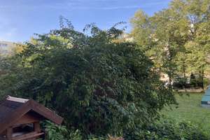 Kernsanierte helle 3,5 Zimmer Wohnung mit Balkon in Perlach! Bezugs-und provisionsfrei! – Die vollständige Adresse der Immobilie erhältst du vom Anbieter., 81737 Neuperlach, München – Vorschaubild 35