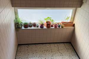 Zuhause mit 3,5 Zimmern in Oberhausen – 46049 Lirich-Süd, Oberhausen – Vorschaubild 15