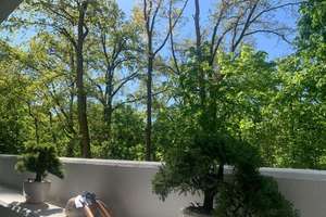 Property thumbnail 37